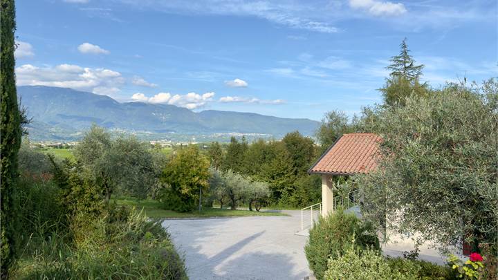 Singola con uliveto con il fascino di una cascina con a Vittorio Veneto